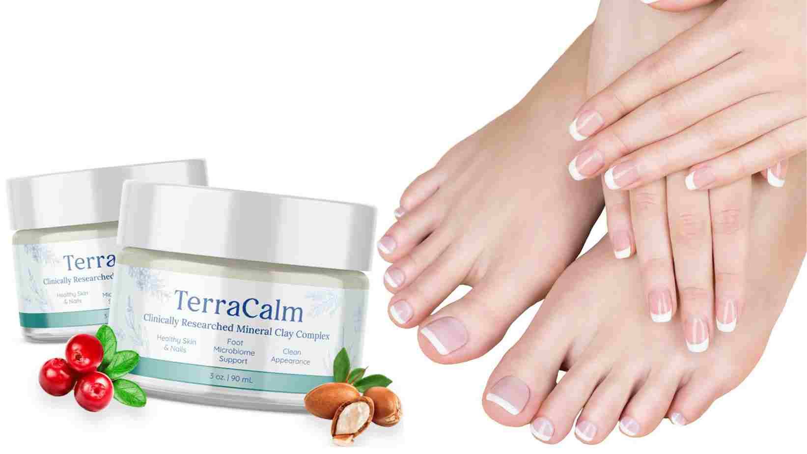 terra calm buy